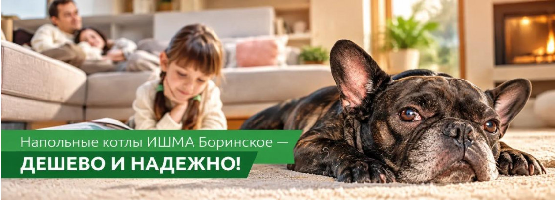 Котлы ИШМА